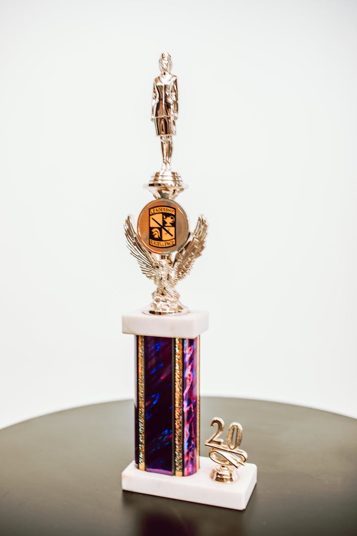 Silver trophy with intricate design on a table, showcasing achievement.